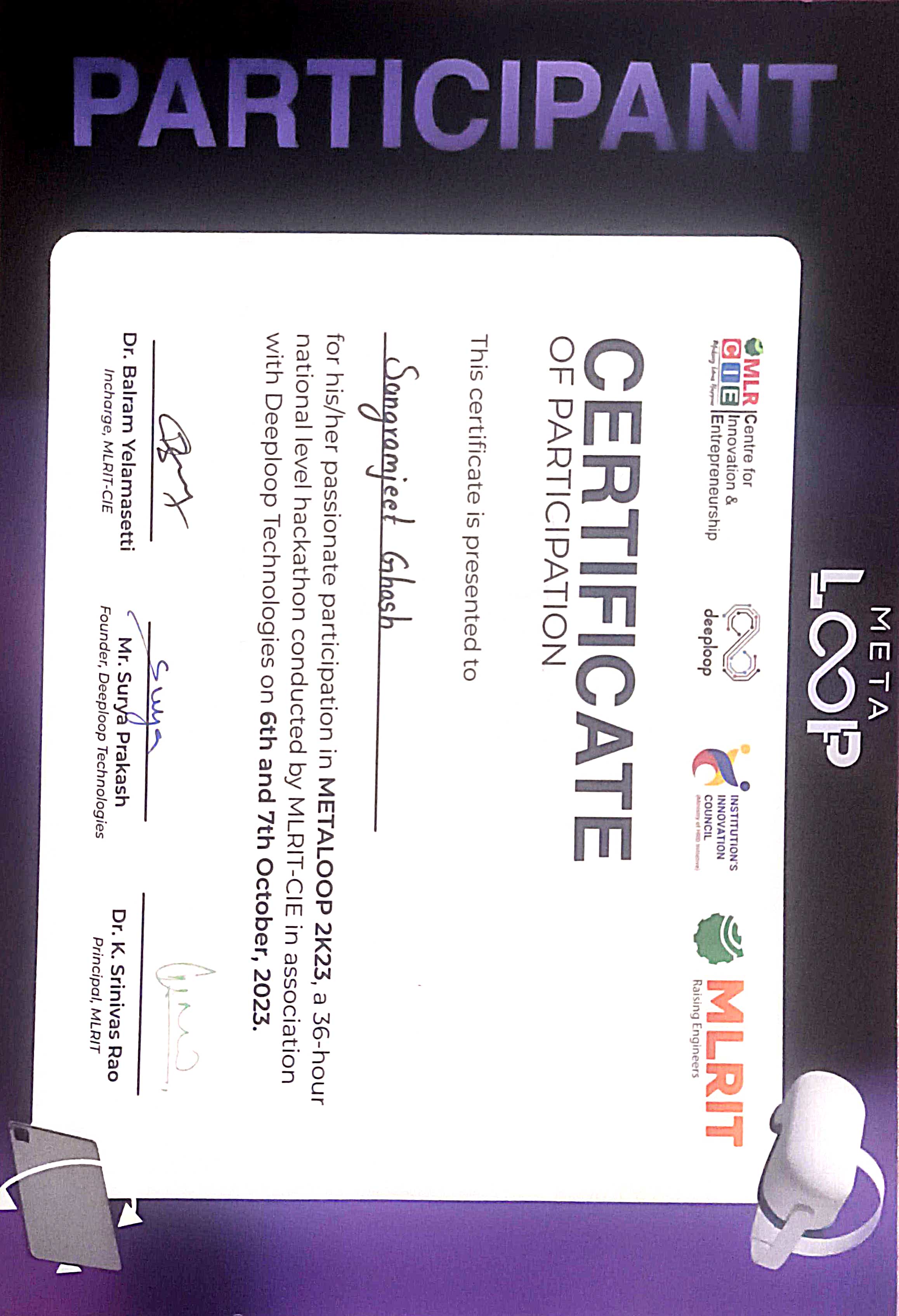 Metaloop Recognition